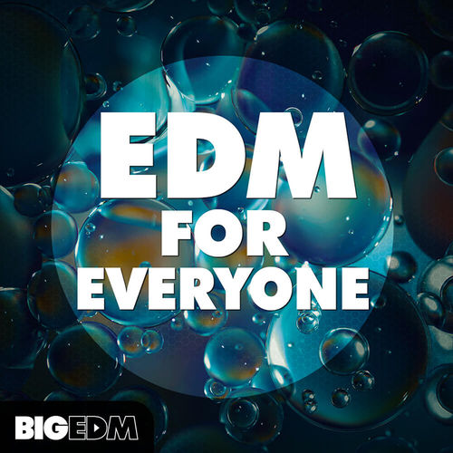 1021 800x800big edm edm for everyone cover
