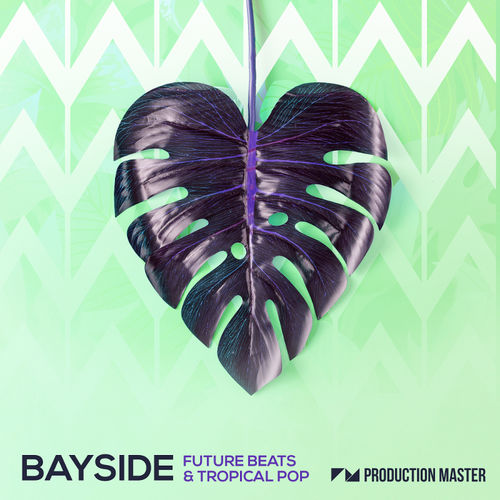1050 bayside future beats tropical pop 800x800