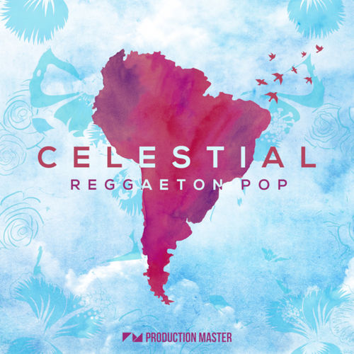 1143 production master celestial reggaeton pop 800