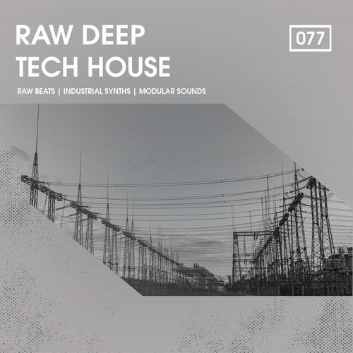 1217 rsz raw deep tech house