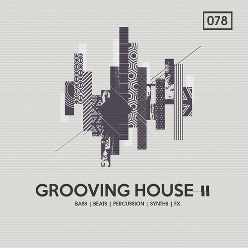 1228 rsz grooving house 2%282%29