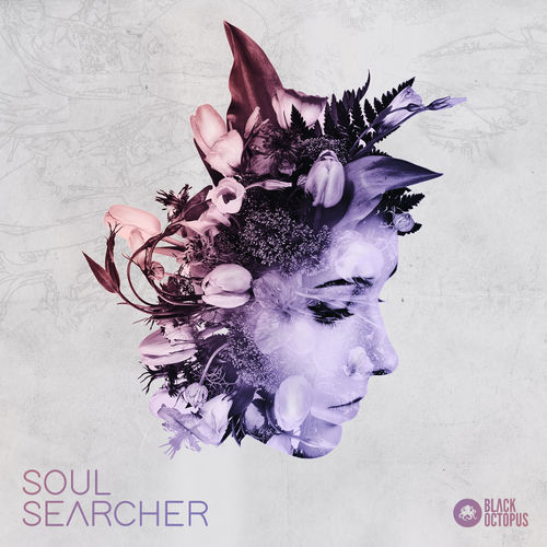 1317 soul searcher 800