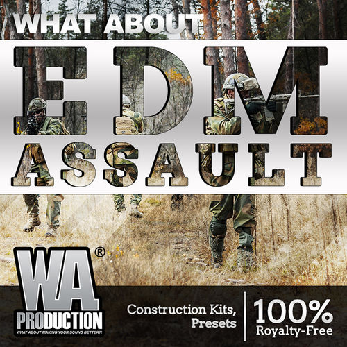 1323 800x800wa production what about edm assault cover