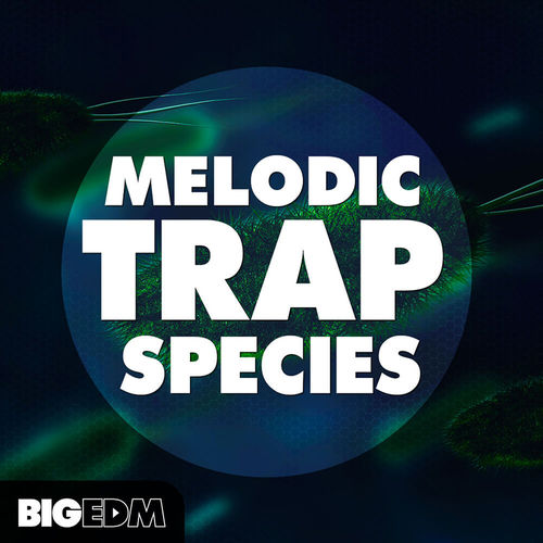1443 800x800big edm melodic trap species artwork