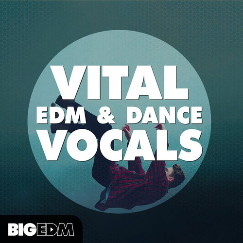 1444 800x800big edm vital edm dance vocals artwork