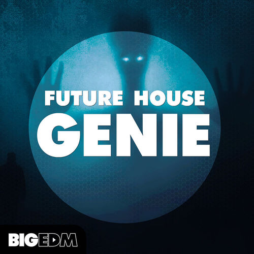 1497 800x800big edm future house genie artwork
