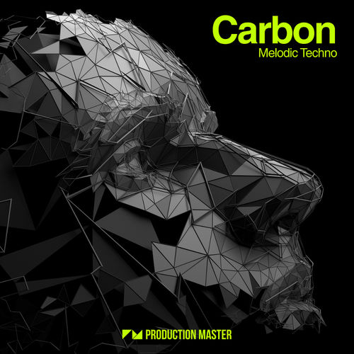1603 production master carbon melodic techno 800