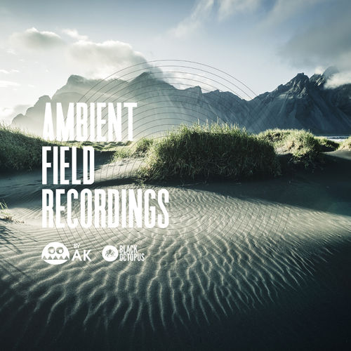 1754 black octopus sound ambient field recordings by ak 800