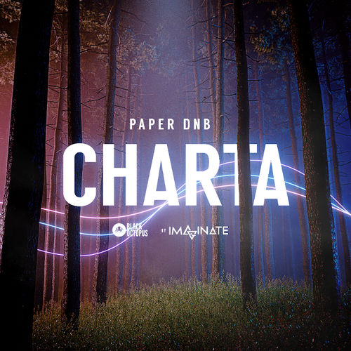 1865 black octopus sound imaginate element series charta paper dnb artwork 800
