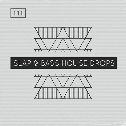 1917 rsz slap bass house drops
