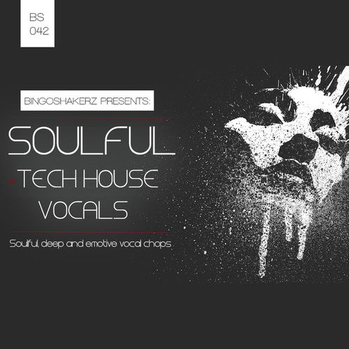 288 rsz soulful tech house vocals