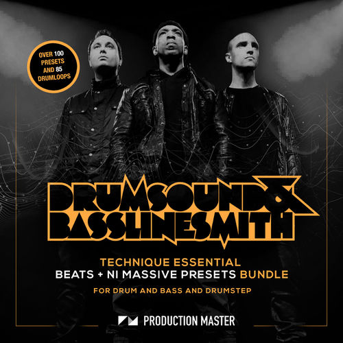 331 ds technique beats and presetsartwork 800 x 800