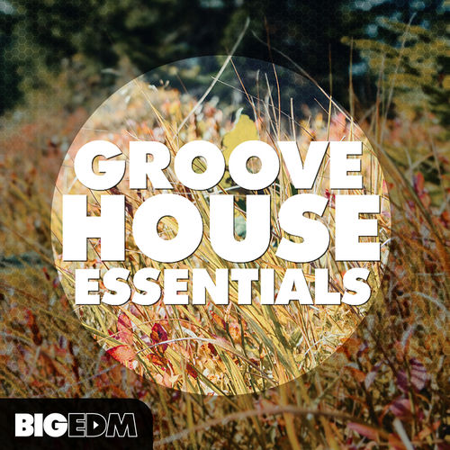 336 800x800groovehouseessentialscover