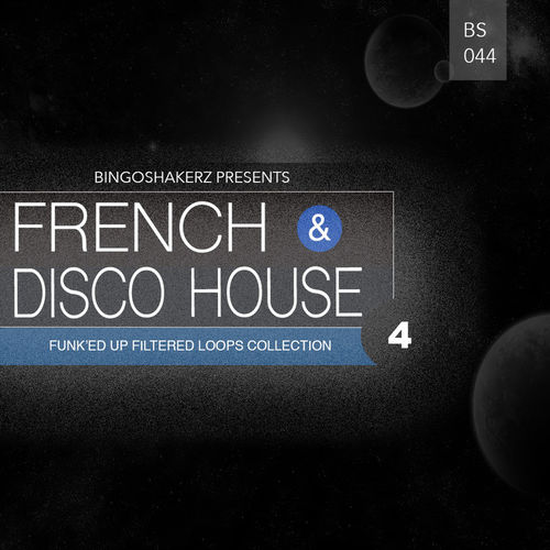 342 rsz french disco house 4