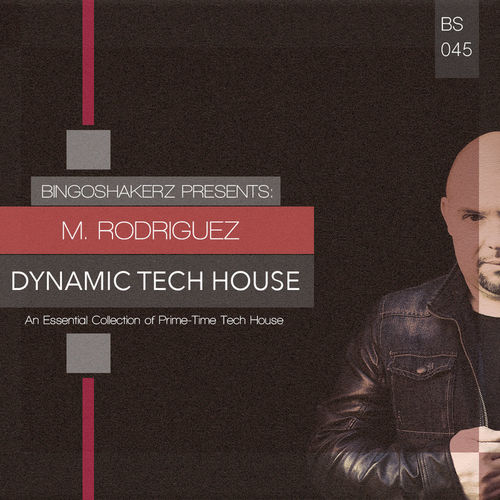 346 rsz mrodriguez dynamic tech house