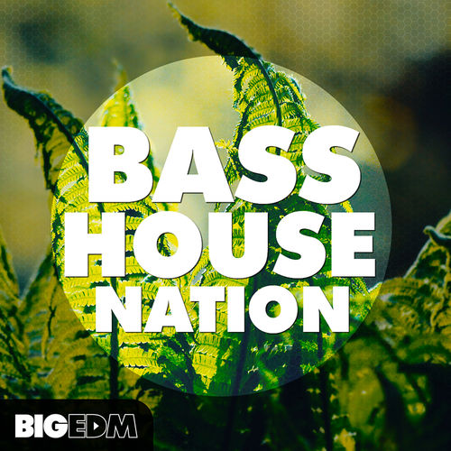 428 800x800basshousenationcover