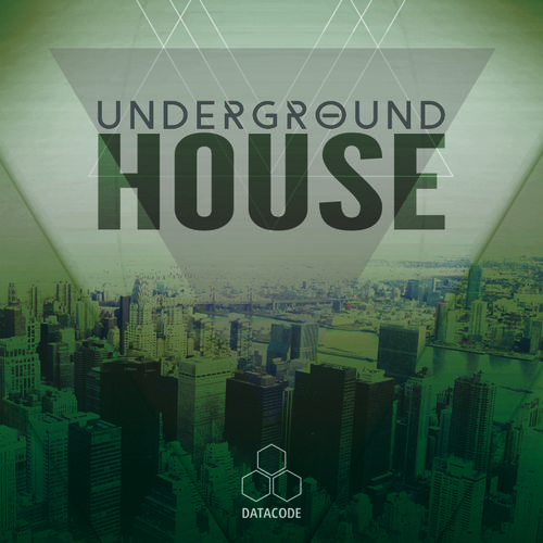 447 datacode focus underground house 800px