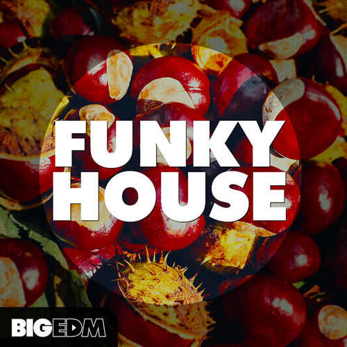 530 800x800funkyhousecover