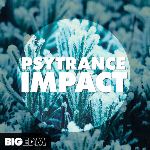 552 800x800psytranceimpactcover