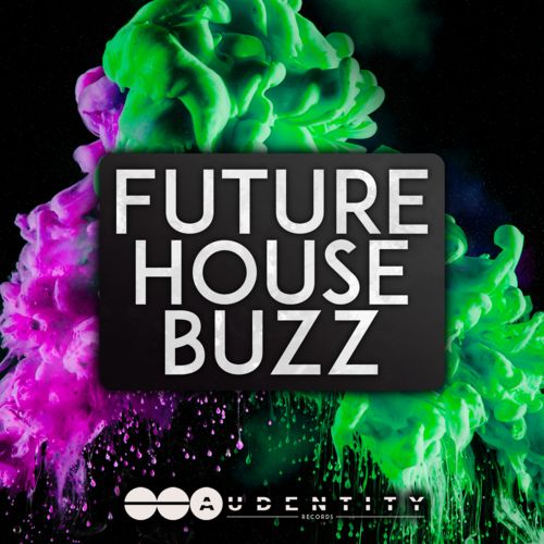577 future house buzz