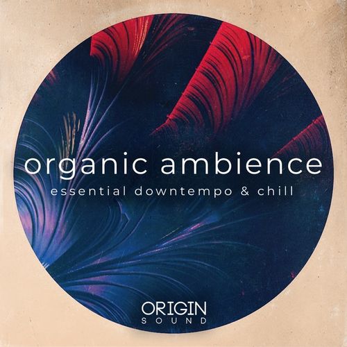704 organic ambience 800
