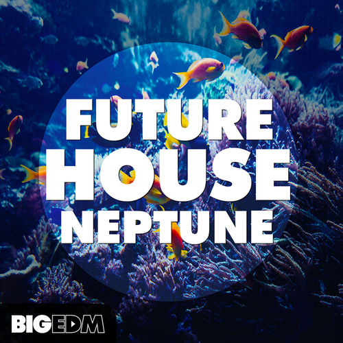 707 800x800big edm future house neptune cover