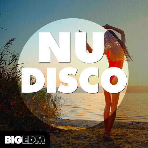 749 800x800big edm nudisco sample pack cover
