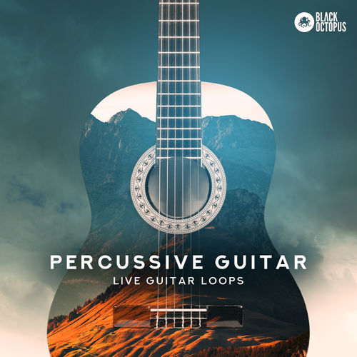757 percussive guitar 800 x 800