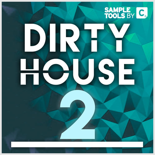 829 dirty house 2