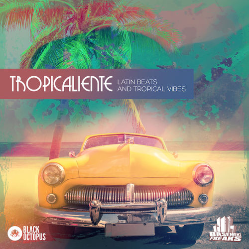 842 tropicaliente 800x800