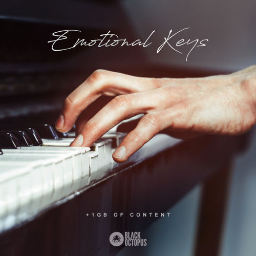 899 emotional keys artwork 800x800