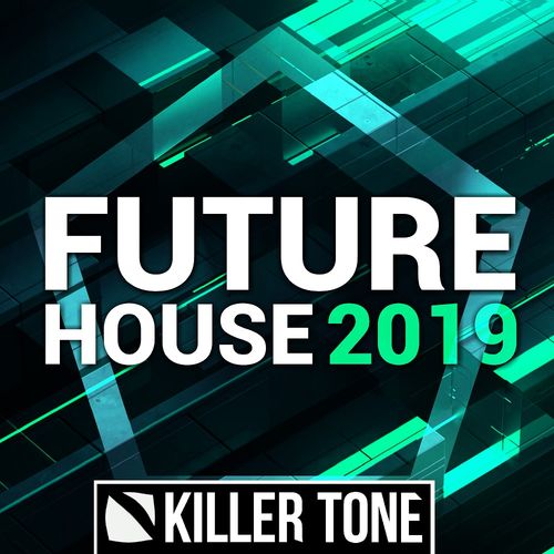 913 future house 2019 artwork