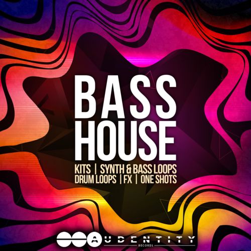 947 bass house
