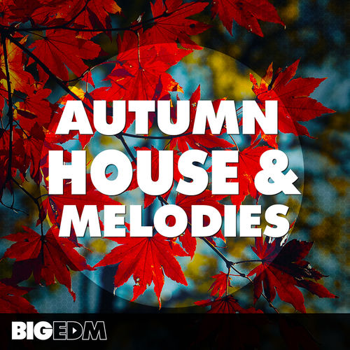 989 800x800big edm autumn hosue melodies cover