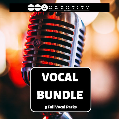 994 vocal bundle %281%29