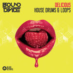 1033 bound to divide delicious house drums 800x800