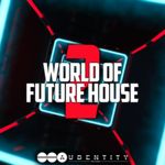 1041 worldfuturehouse2