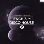 104 rsz french house disco house 2