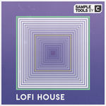 1100 lofi house artwork