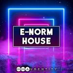 1385 e norm house %281000x1000%29