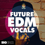 1442 800x800big edm future edm vocals artwork