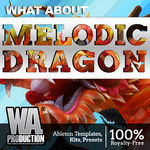 1469 800x800wa production what about melodic dragon cover