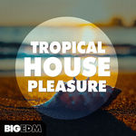 1573 800x800big edm tropical house pleasure cover