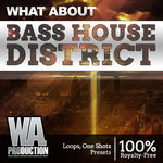 1604 800x800w. a. production what about bass house district cover