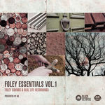 162 foley essentials by ak main cover 800px