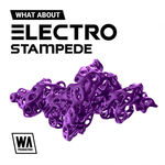 1680 800x800w. a. production what about electro stampede artwork
