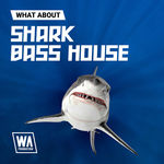 1839 800x800w. a. production what about shark bass house artwork