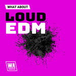 1874 800x800w. a. production what abotu loud edm artwork