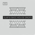 1917 rsz slap bass house drops