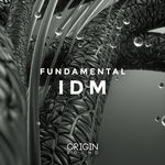 211 fundamental idm
